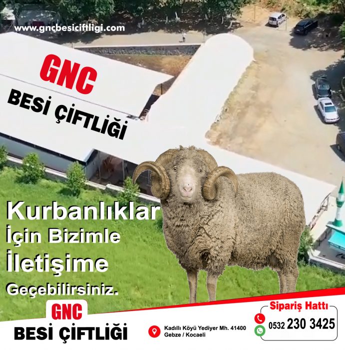 gnc2